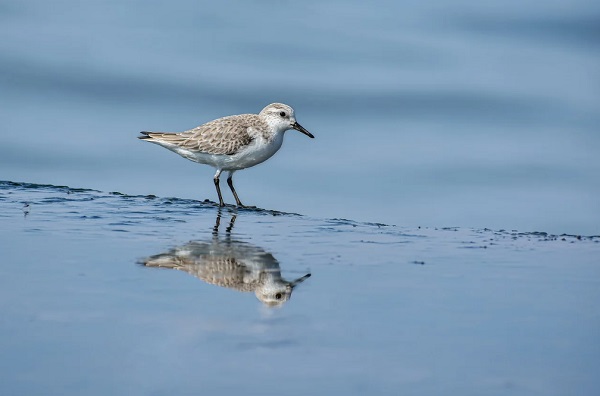 總氮超標怎么處理?.jpg 總氮超標怎么處理?.jpg